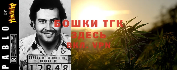сатива Арсеньев