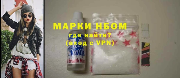 сатива Арсеньев