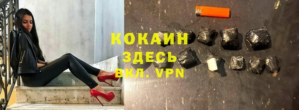 сатива Арсеньев