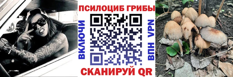 площадка как зайти  Междуреченск  Галлюциногенные грибы мухоморы 